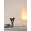 Feine Farben 'Poesie der Stille' hellgrau matt 2,5 l