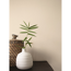Feine Farben 'Elegante Gelassenheit' hellbeige matt 2,5 l