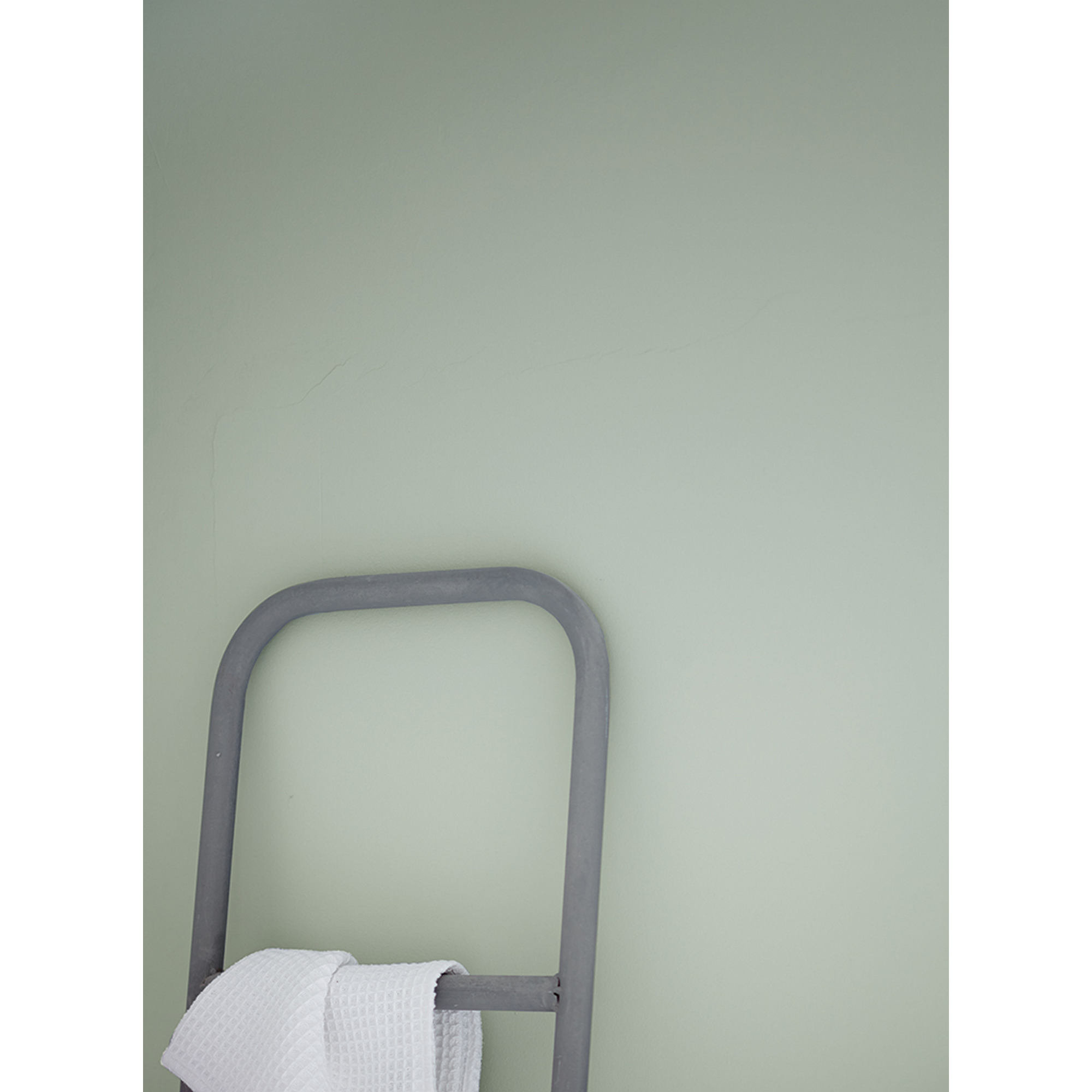 Feine Farben 'Sanfter Morgentau' graugrün matt 2,5 l + product picture