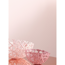 Feine Farben 'Zarte Romantik' pastellrosa matt 2,5 l