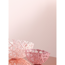 Verkleinertes Bild von Feine Farben 'Zarte Romantik' pastellrosa matt 2,5 l