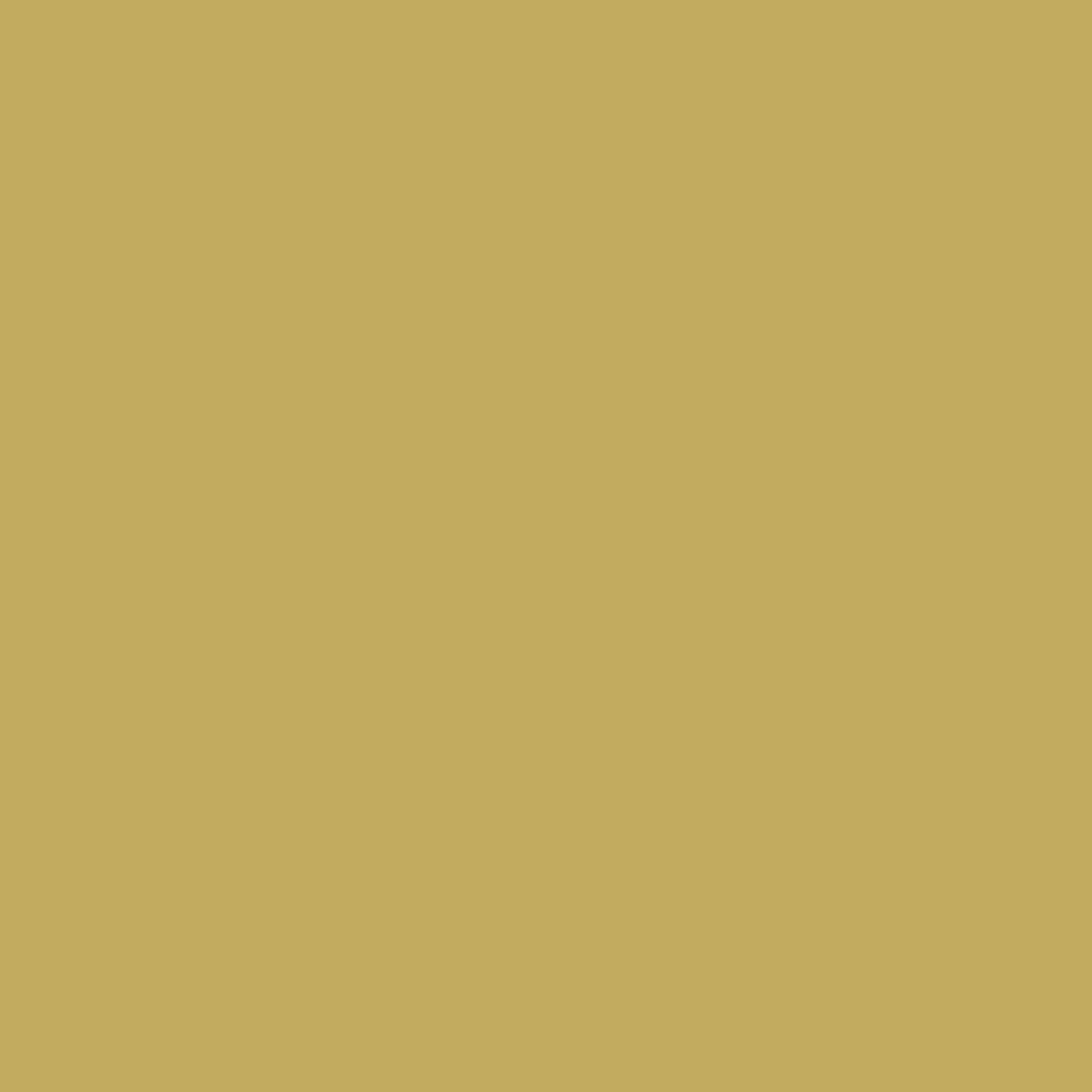 Wandfarbe 'Oro Antico' goldgelb matt 2,5 l + product picture
