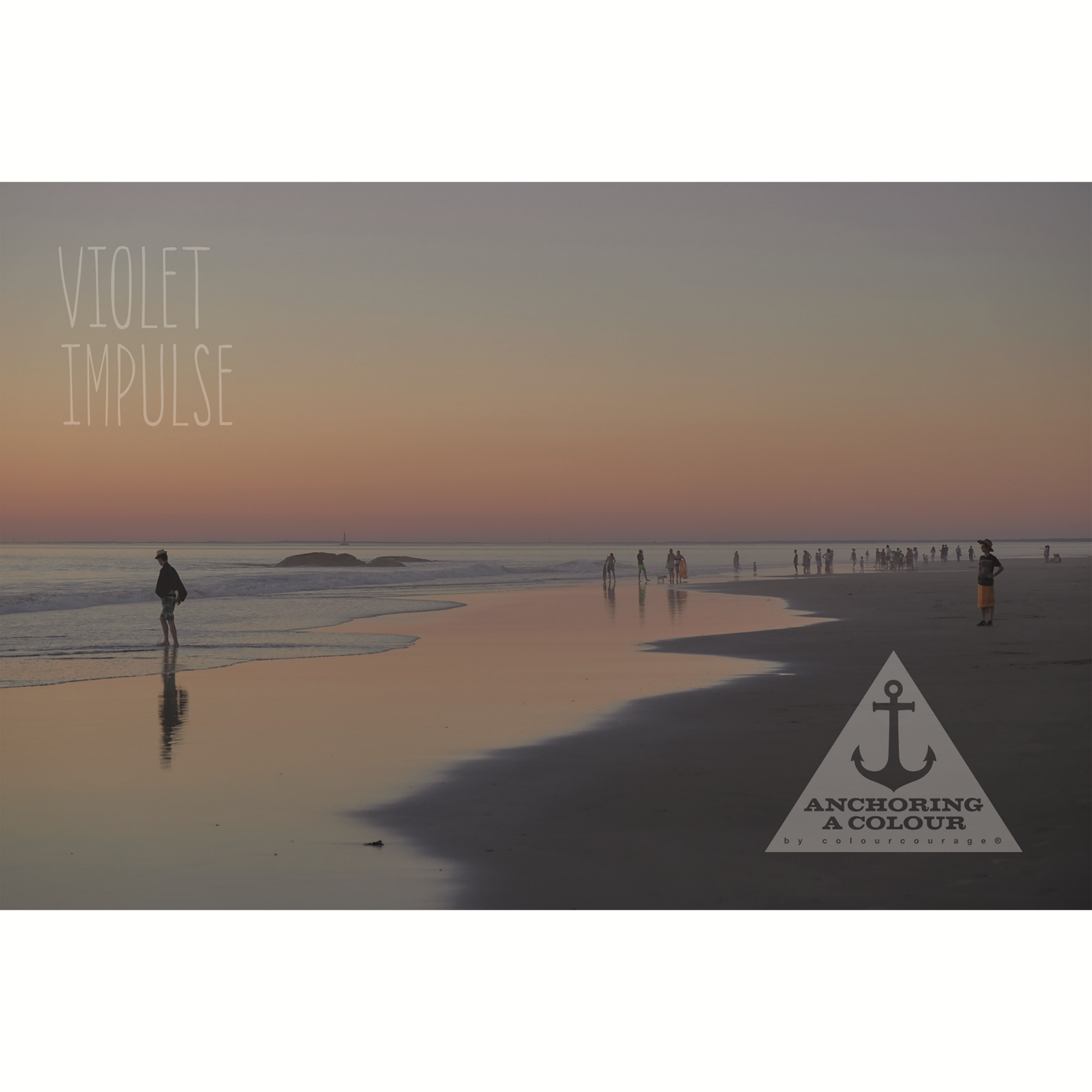 Wandfarbe 'Violet Impulse' graulila matt 2,5 l + product picture