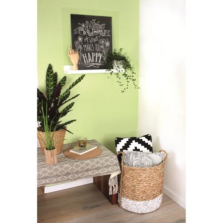 5. Bild von Wandfarbe 'Green Tea' blassgrün matt 2,5 l