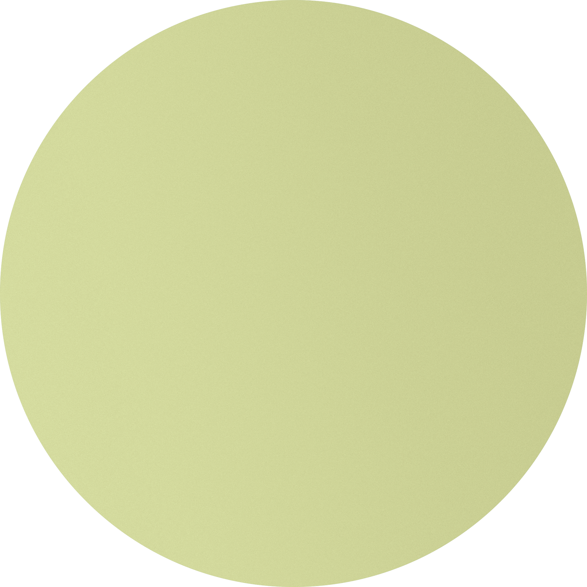 Wandfarbe 'Green Tea' blassgrün matt 2,5 l + product picture