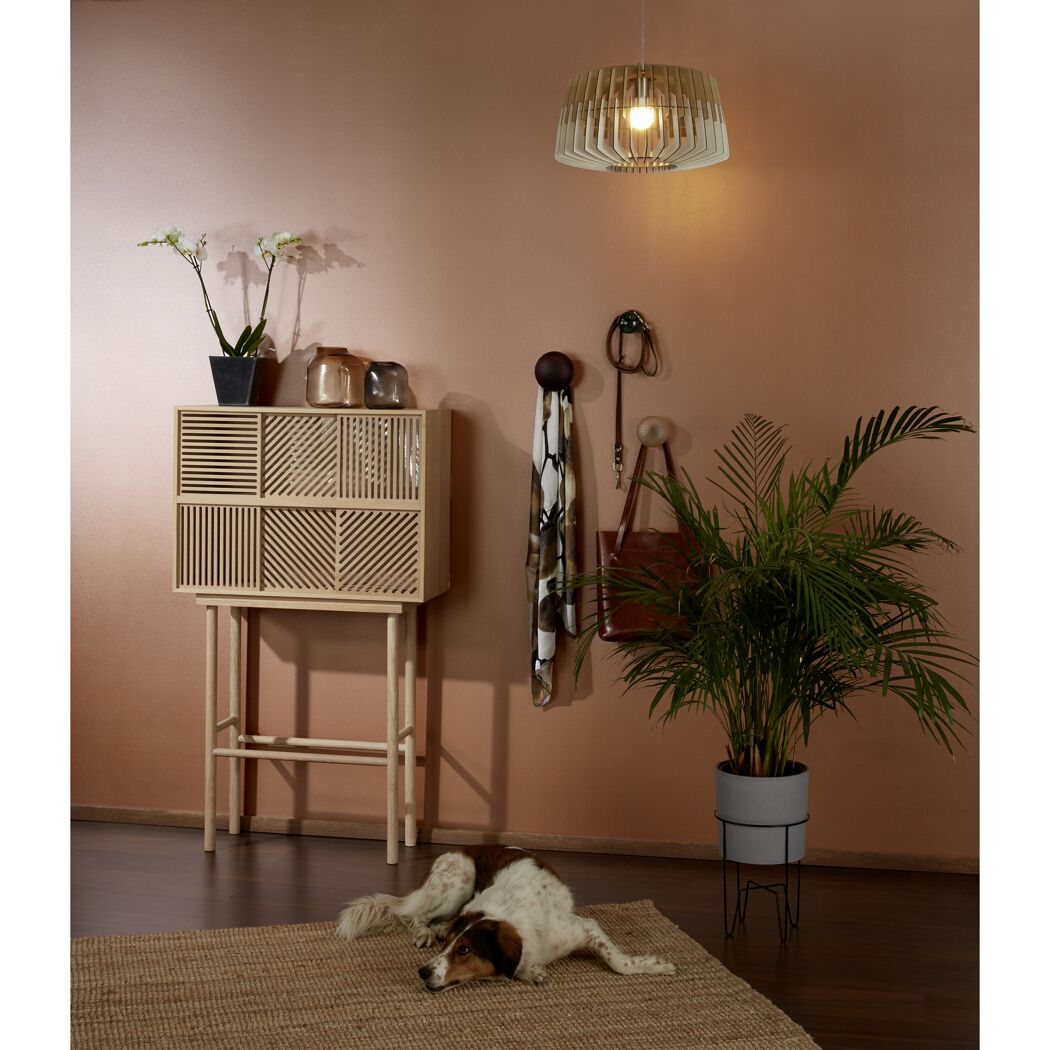 Ein Hund liegt auf einem Teppich vor einem Sideboard und einer Palme.