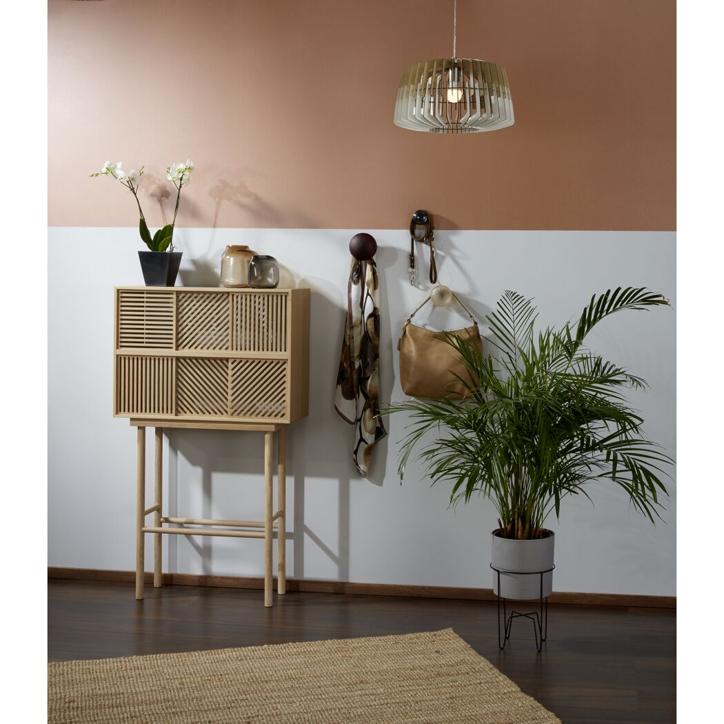 Einrichtungsidee mit Sideboard, Wandhaken und Zimmerpflanze