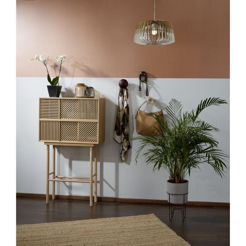 Einrichtungsidee mit Sideboard, Wandhaken und Zimmerpflanze