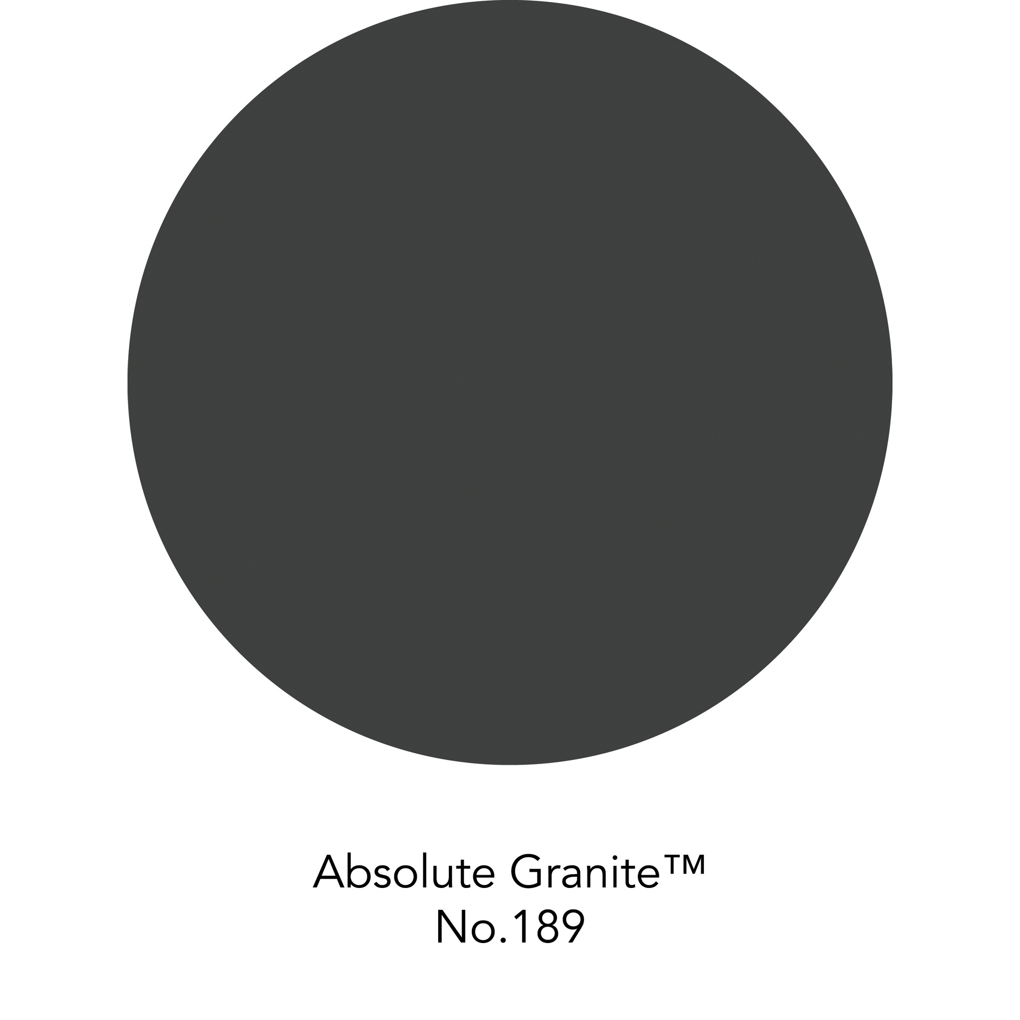 Wandfarbe 'Absolute Granite No. 189' schwarzgrau matt 2,5 l + product picture