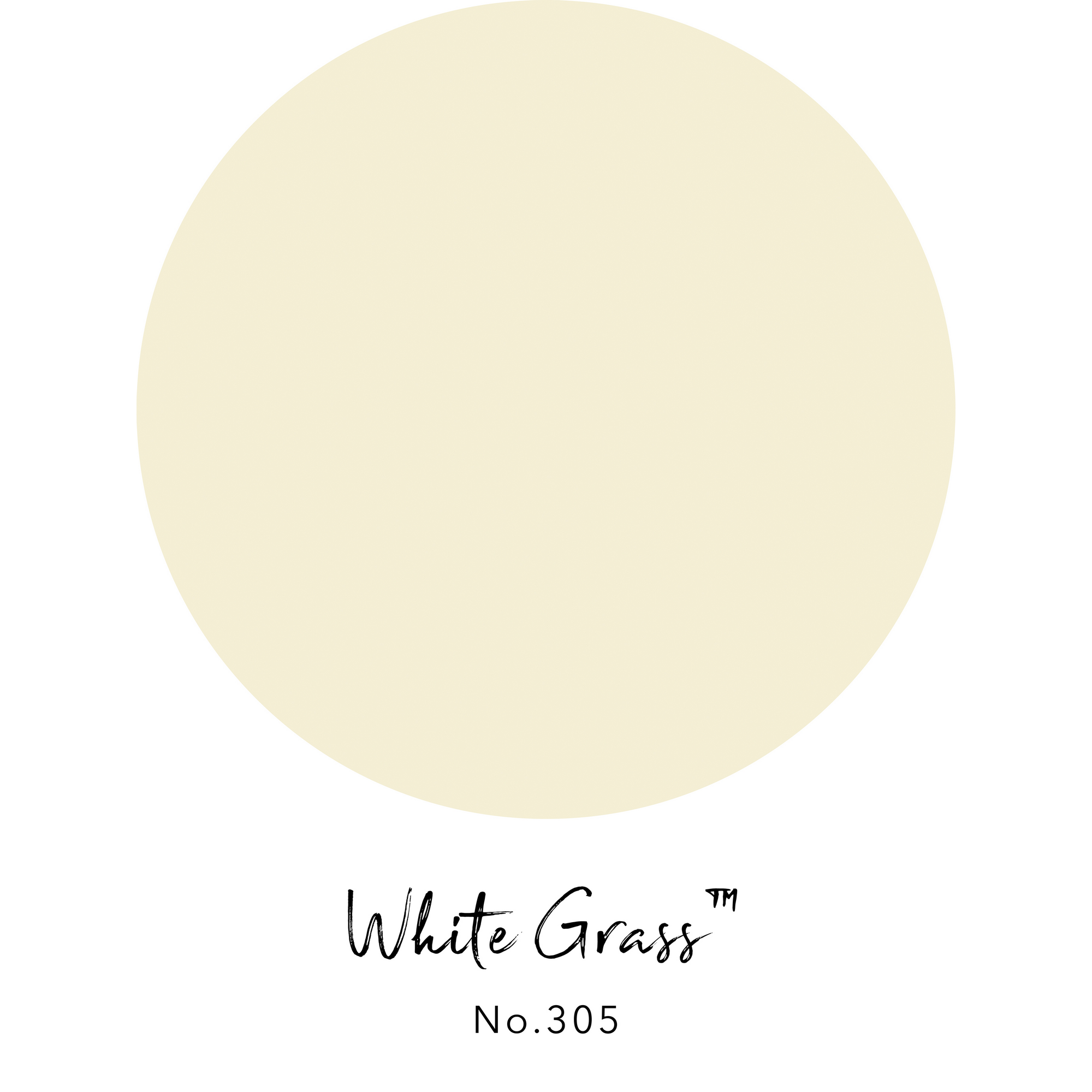 Wandfarbe 'White Grass No. 305' gelb matt 2,5 l + product picture