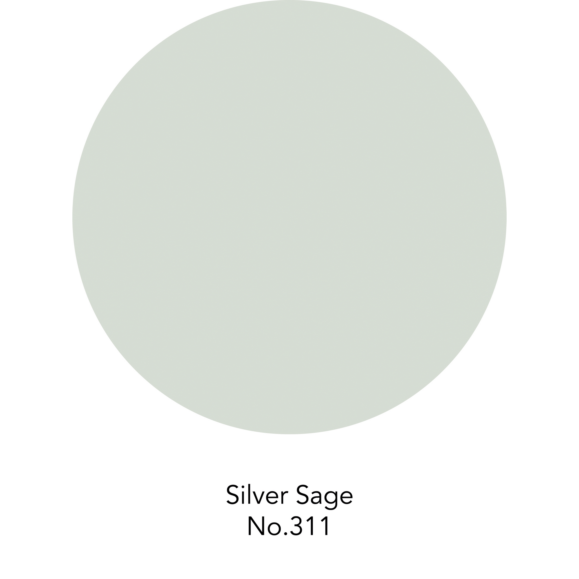 Wandfarbe 'Silver Sage No. 311' pastellgrün matt 2,5 l + product picture
