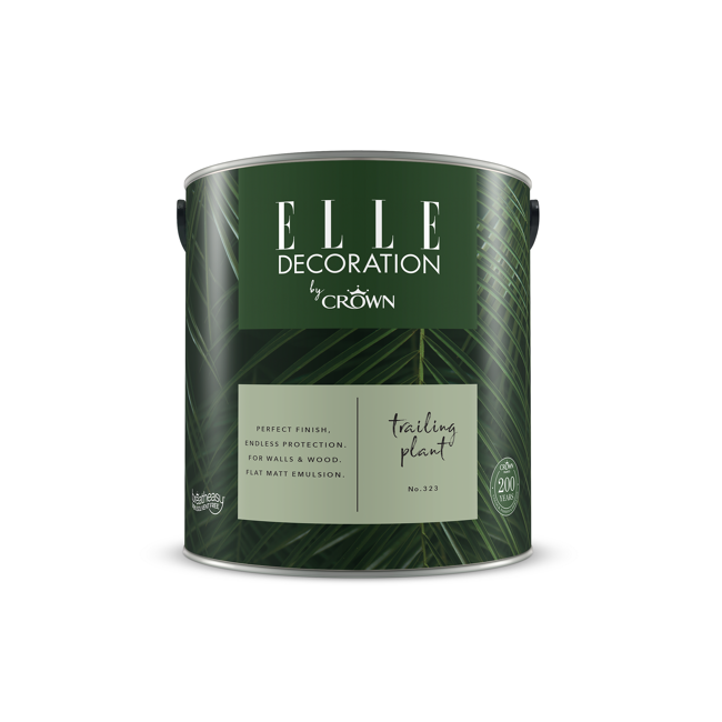 Bild von Wandfarbe 'Trailing Plant No. 323' grün matt 2,5 l