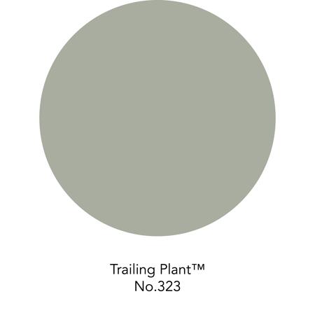 4. Bild von Wandfarbe 'Trailing Plant No. 323' grün matt 2,5 l