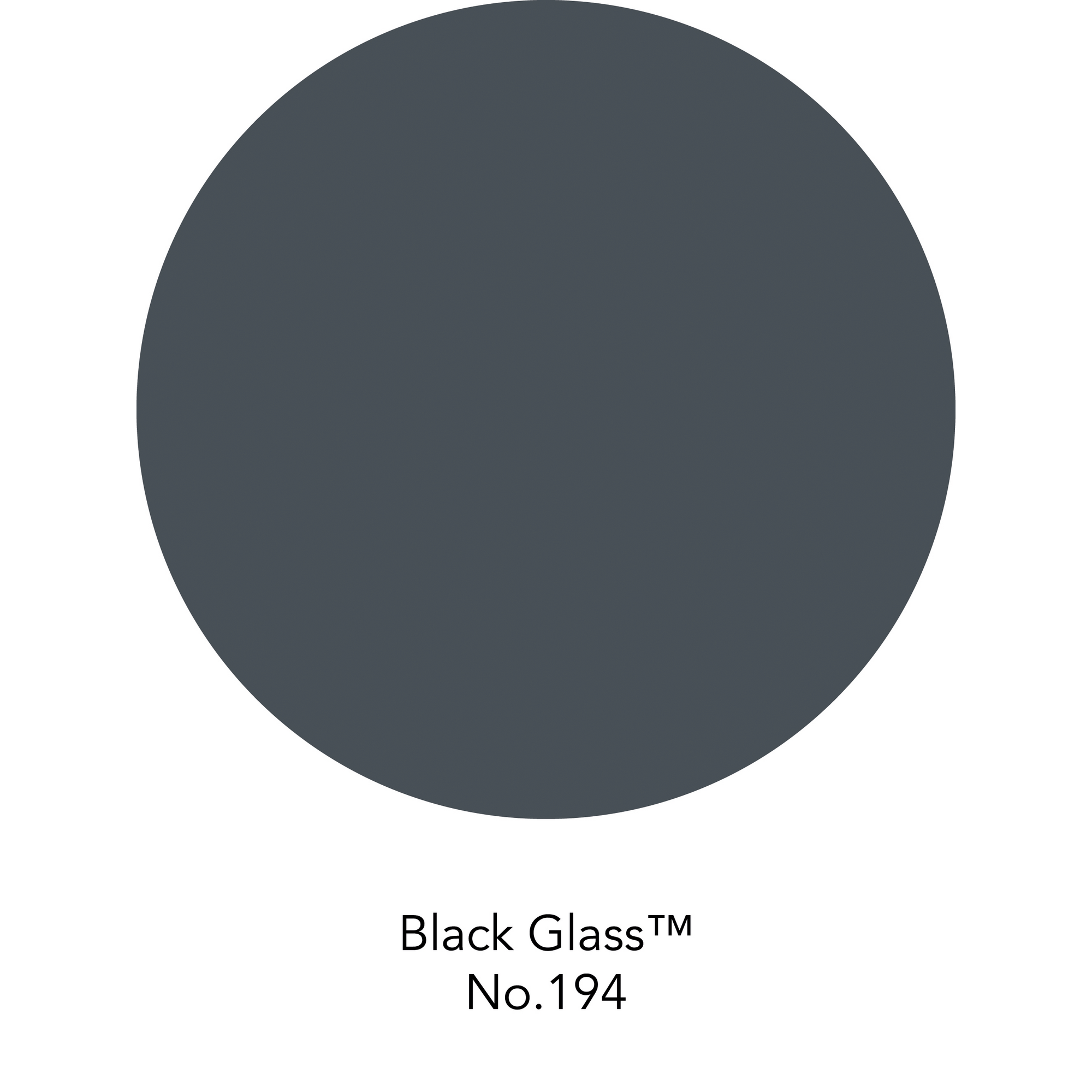 Wandfarbe 'Black Glass No. 194' schwarzgrau matt 125 ml + product picture