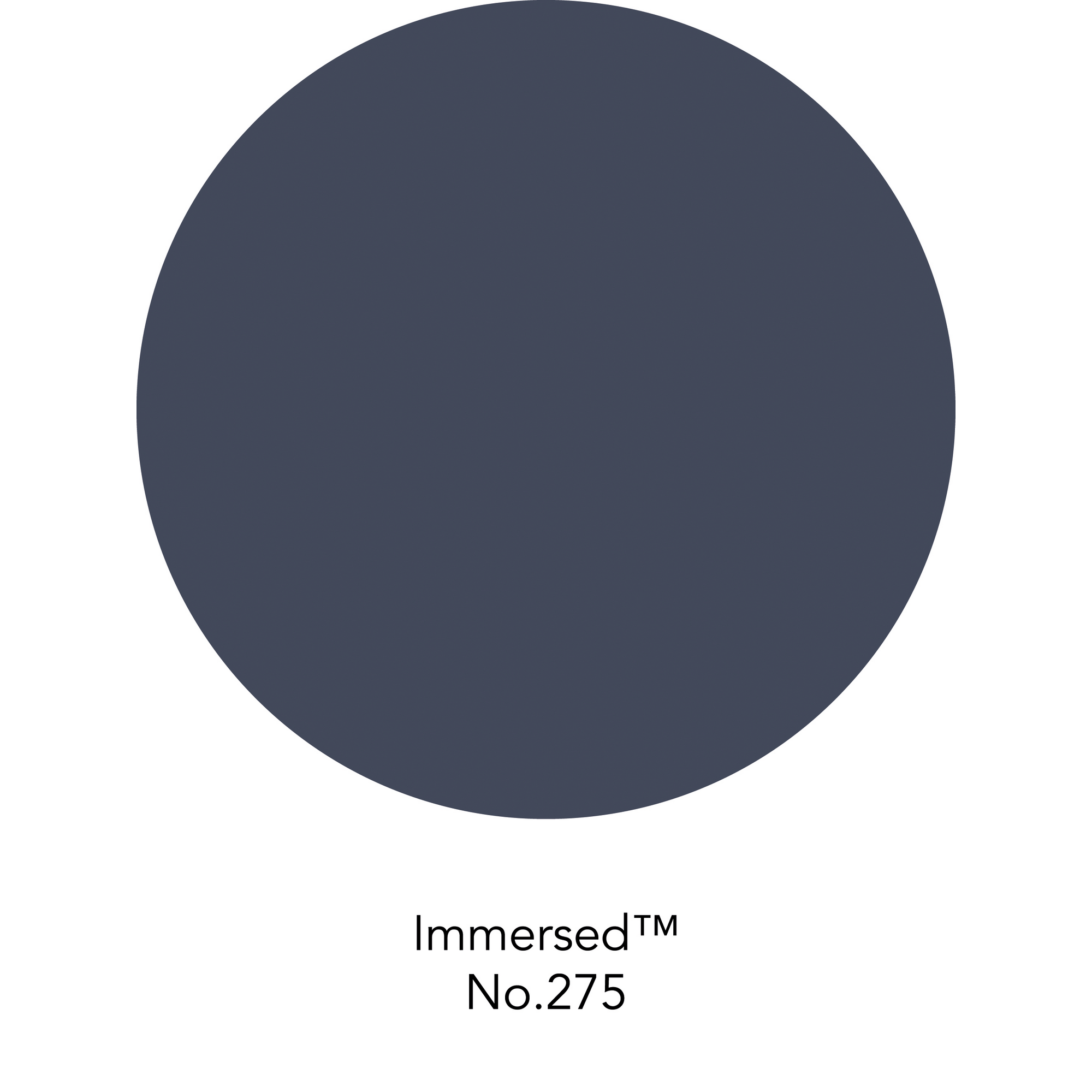 Wandfarbe 'Immersed No. 275' blau matt 125 ml + product picture
