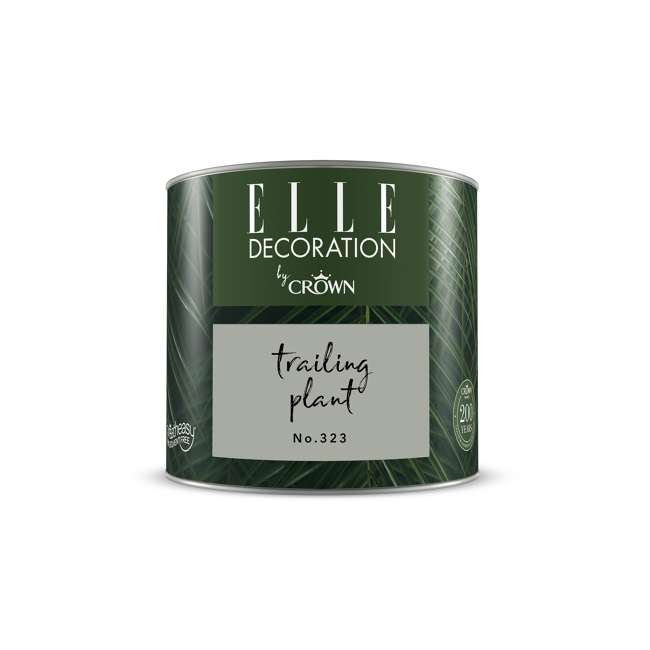 Bild von Wandfarbe 'Trailing Plant No. 323' grün matt 125 ml