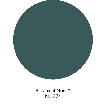 4. Bild von Wandfarbe 'Botanical Noir No. 374' grün matt 125 ml