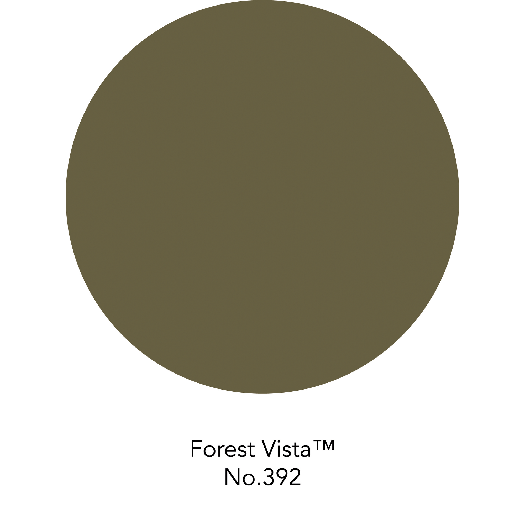 Wandfarbe 'Forest Vista No. 392' grün matt 125 ml + product picture
