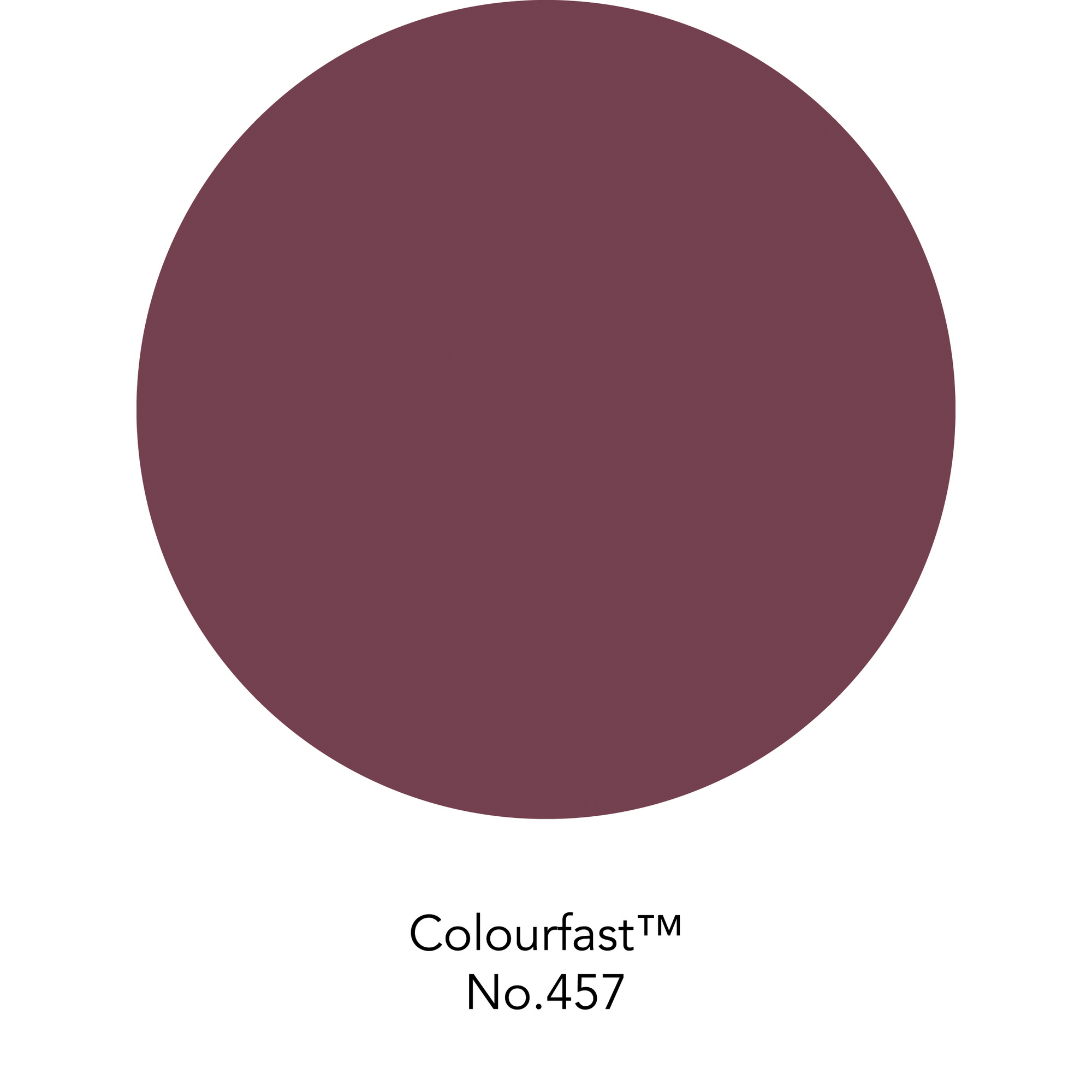 Wandfarbe 'Colourfast No. 457' beerenfarben matt 125 ml + product picture