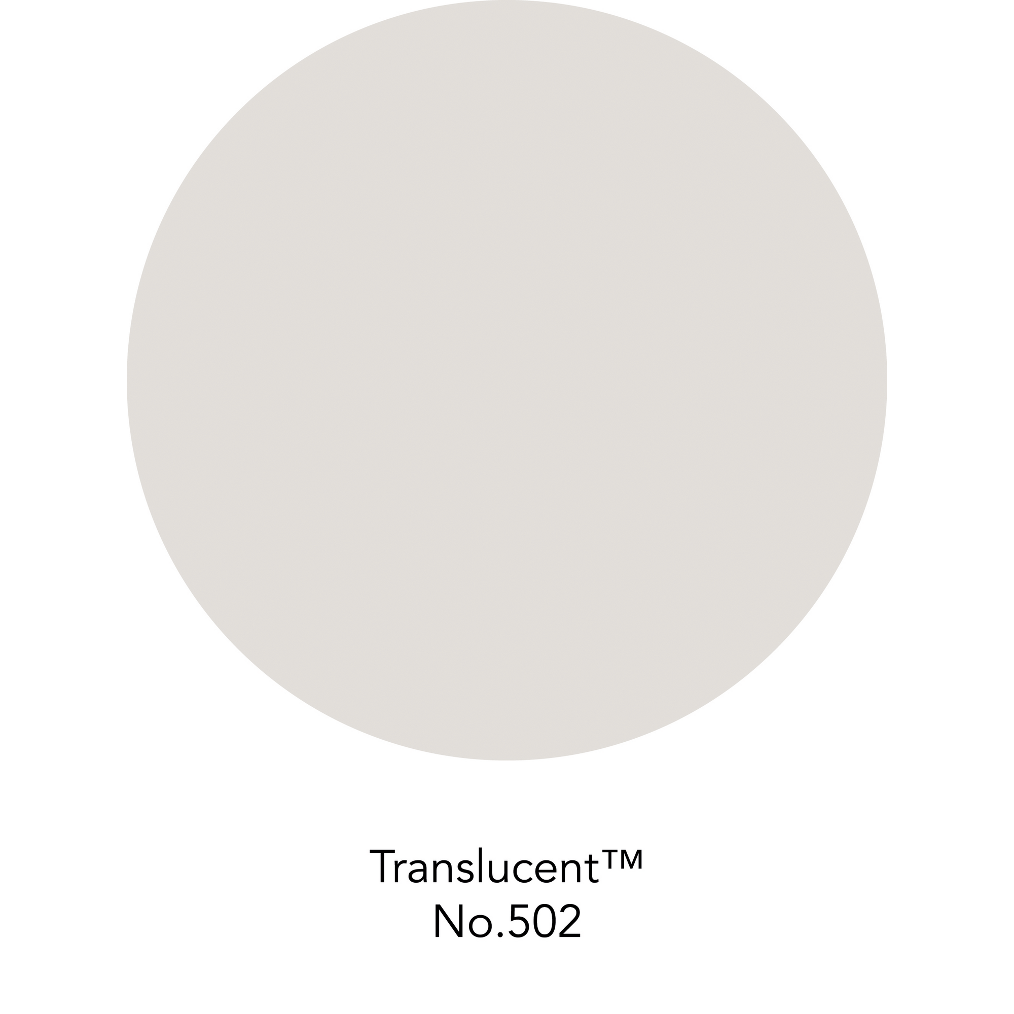 Wandfarbe 'Translucent No. 502' hellgrau matt 125 ml + product picture