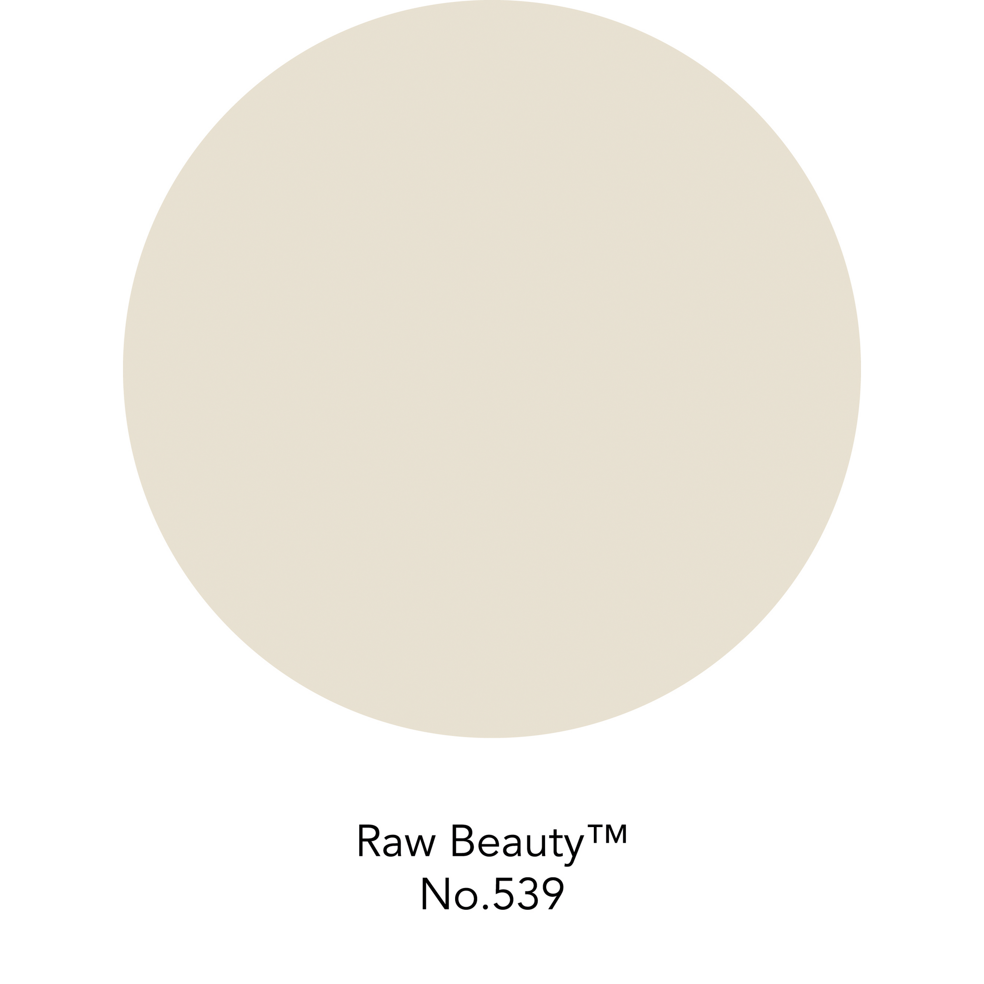 Wandfarbe 'Raw Beauty No. 539' beige matt 125 ml + product picture