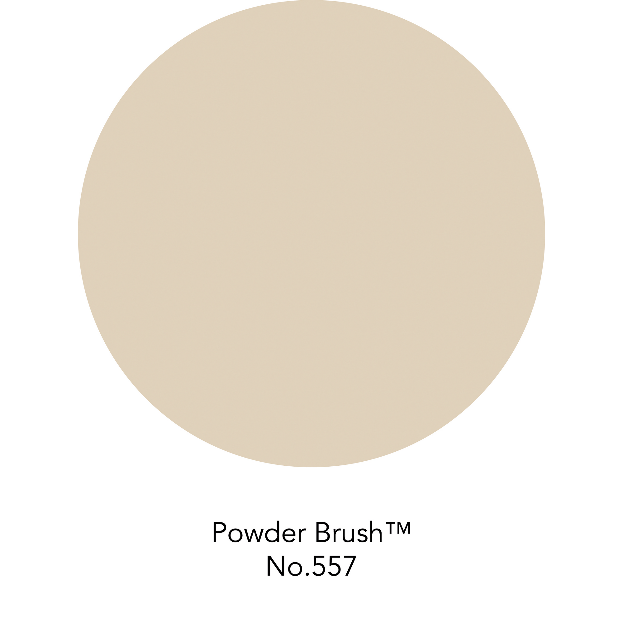 Wandfarbe 'Powder Brush No. 557' beige matt 125 ml + product picture