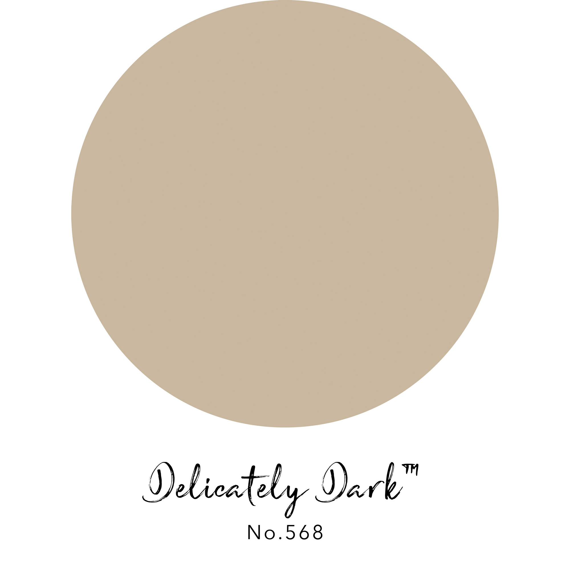 Wandfarbe 'Delicately Dark No. 568' beigebraun matt 125 ml + product picture