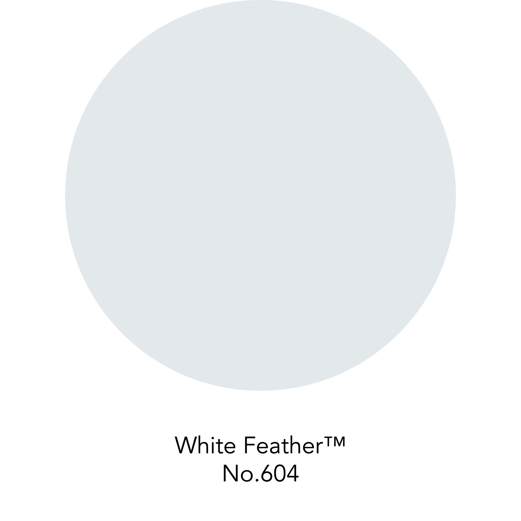 Wandfarbe 'White Feather No. 604' grauweiß matt 125 ml + product picture