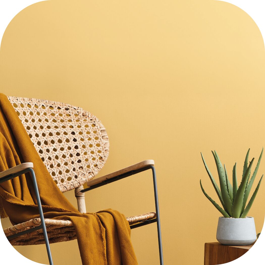 Senfgelber Sessel mit Decke und Aloe Vera Pflanze
