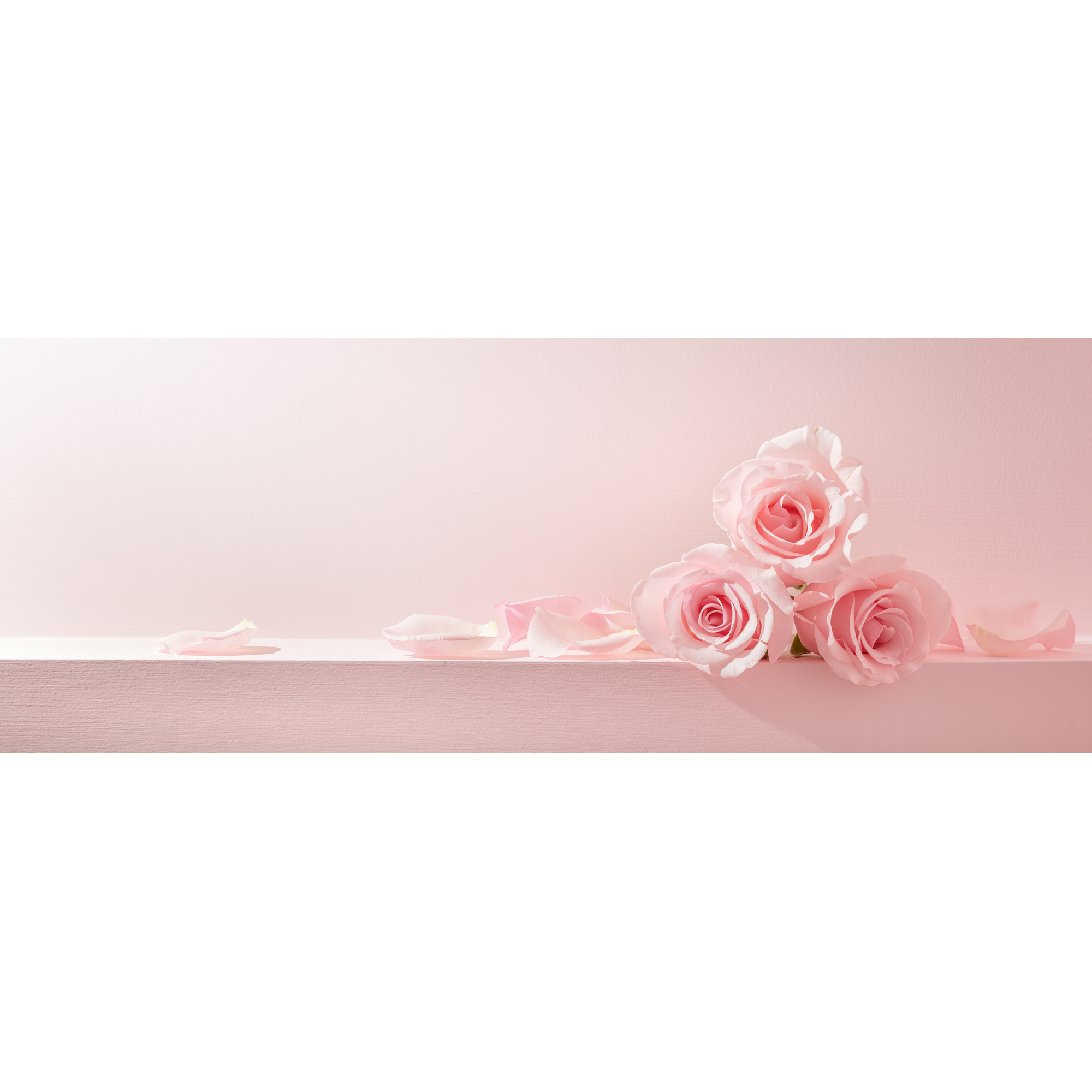 Wandfarbe 'Noble Rose' rosa matt 2,5 l + product picture