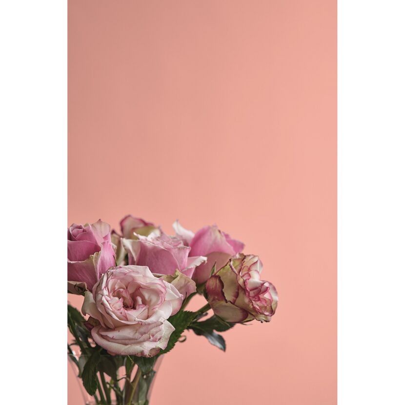 Feine Farben 'Kokette Sinnlichkeit' rosa seidenmatt 2,5 l