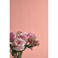Verkleinertes Bild von Feine Farben 'Kokette Sinnlichkeit' rosa seidenmatt 2,5 l
