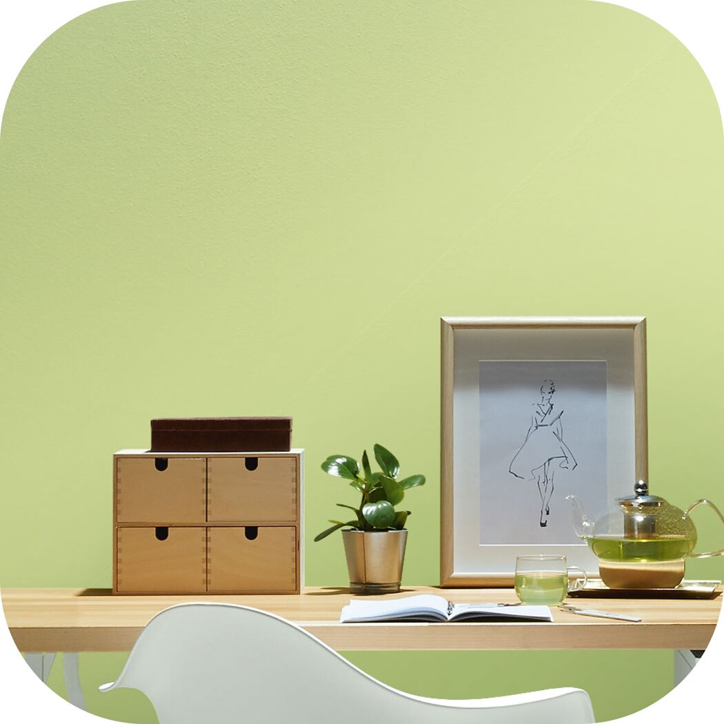 Wandfarbe 'green tea' matt 2,5 l