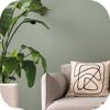 Wandfarbe 'herbal love' matt 2,5 l