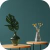 Wandfarbe 'emerald green' matt 2,5 l