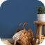 Holzkorb, Hocker und Pflanze vor blauer Wand