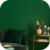 Wandfarbe 'forest green' matt 2,5 l