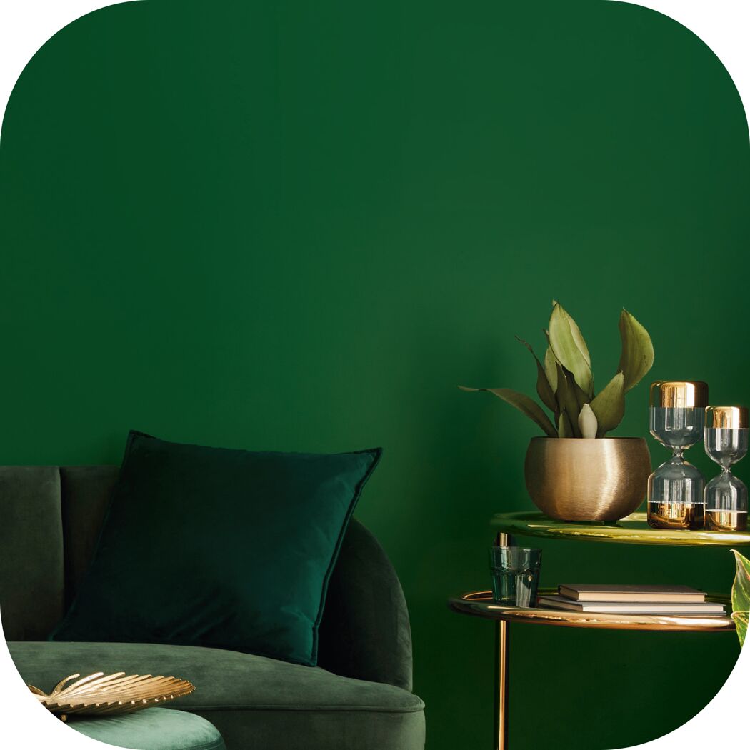 Wandfarbe 'forest green' matt 2,5 l