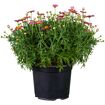hauptbild