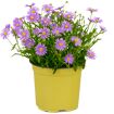 hauptbild