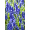 hauptbild
