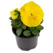 hauptbild