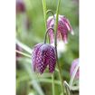 hauptbild