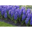 hauptbild