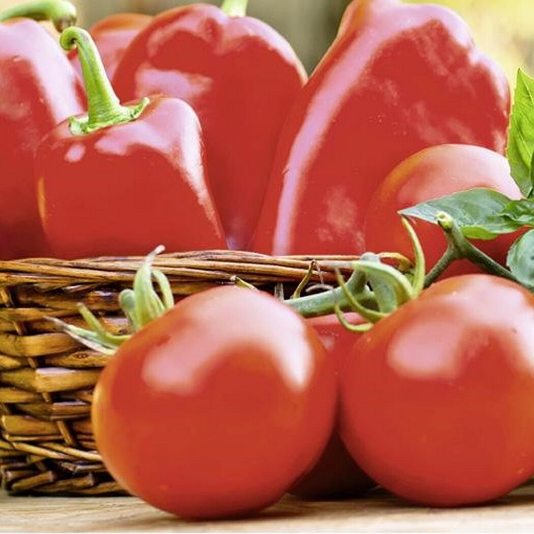 Rote Paprika und Tomaten im Korb