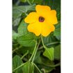 hauptbild