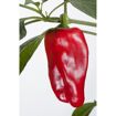 hauptbild