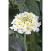 hauptbild