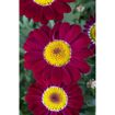 hauptbild