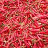Viele rote Chilischoten